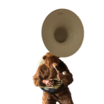 Brummelbaer